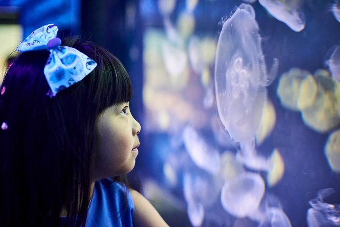 SEA LIFE Melbourne Aquarium Admission Ticket - Coral Atoll and Australia’s underwater variety