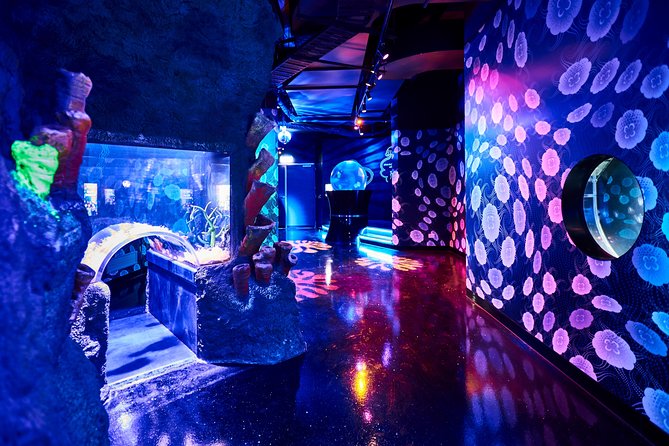 SEA LIFE Melbourne Aquarium Admission Ticket - Starting with jellyfish, seahorses, and sea dragons
