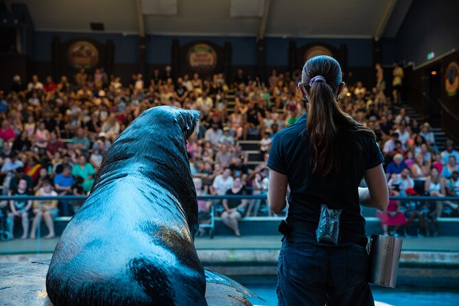 SEA LIFE Sunshine Coast Aquarium Entrance Ticket - Key points to know before you go