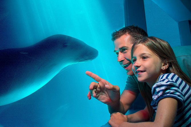 SEA LIFE Sunshine Coast Aquarium Entrance Ticket - Start with the 11 zones, not just the shark tunnel