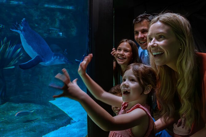 SEA LIFE Sunshine Coast Aquarium Entrance Ticket - Jellyfish, penguins, and smaller creatures fill the gaps