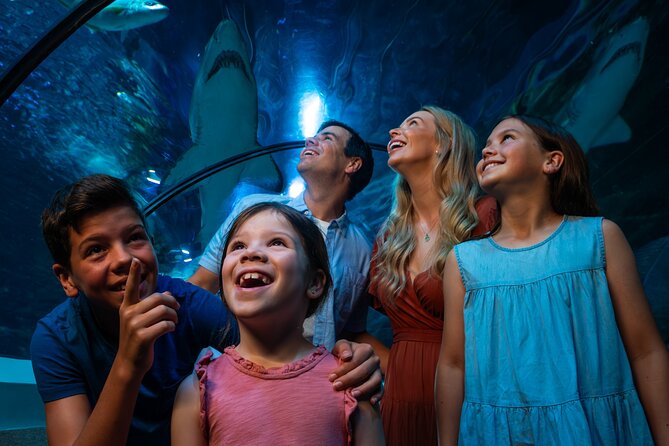 SEA LIFE Sunshine Coast Aquarium Entrance Ticket - Getting there and planning your entry