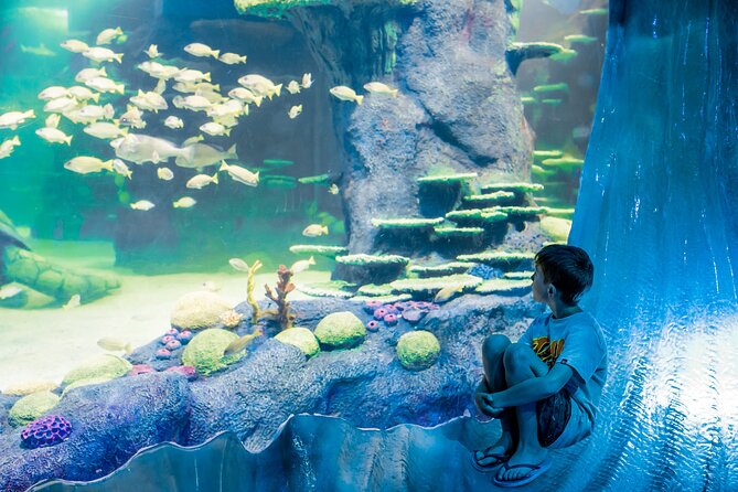SEA LIFE Sydney Aquarium Entrance Ticket - How much time should you allow?