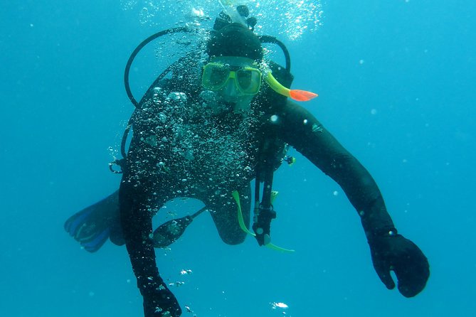 Seastar Luxury Outer Great Barrier Reef Island and Reef Tour - Equipment, Comfort, and Conditions