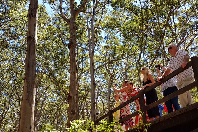 Secret Delights: Curated Wine, Coffee & Forest Experience - Berry Farm lunch gives the day a needed pause