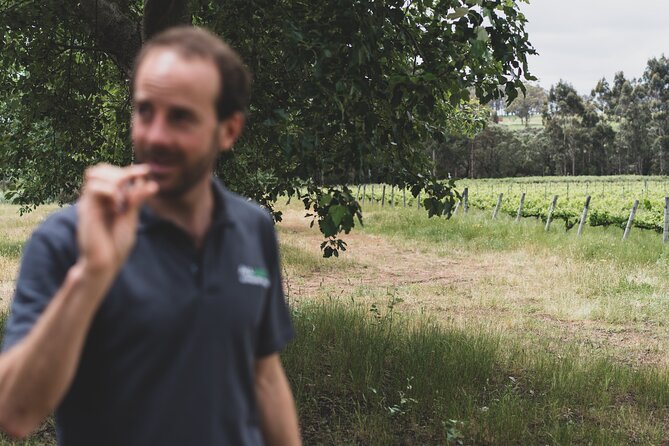 Secret Delights: Curated Wine, Coffee & Forest Experience - Boranup Forest is the quiet change of scene