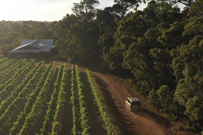 Secret Delights: Curated Wine, Coffee & Forest Experience - Small-group size and comfort