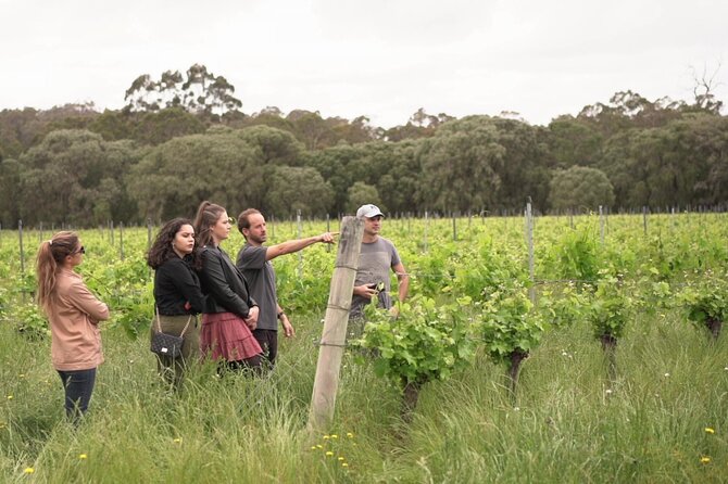 Secret Delights: Curated Wine, Coffee & Forest Experience - Yahava KoffeeWorks starts the day with a tasting lesson