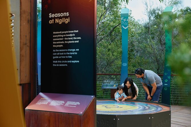 Self-Guided Ngilgi Cave Ancient Lands Experience - Starting among the bush and ancient stories