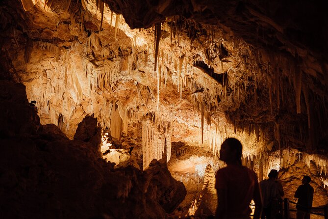 Self-Guided Ngilgi Cave Ancient Lands Experience - The opening introduction sets the scene