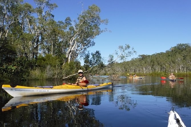 Self-Guided Noosa Everglades Kayak Tour - Key points to know before you paddle
