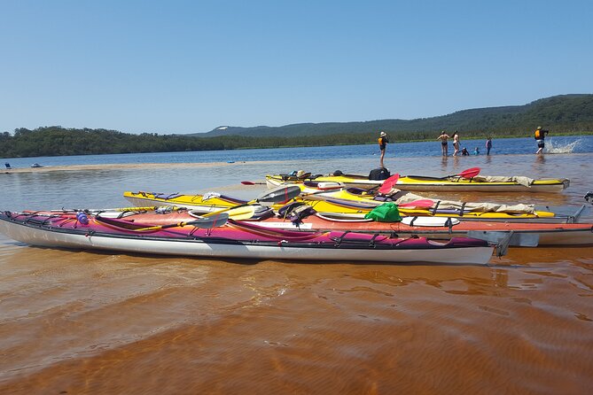 Self-Guided Noosa Everglades Kayak Tour - Why the Noosa Everglades make a fine paddling day
