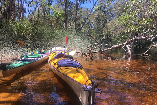 Self-Guided Noosa Everglades Kayak Tour - Three route ideas for your six hours