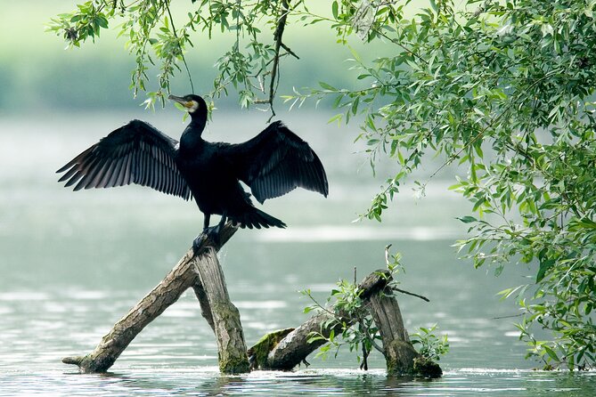 Serenity Cruise to Australia's Everglades - Beer, bubbles, and the social side