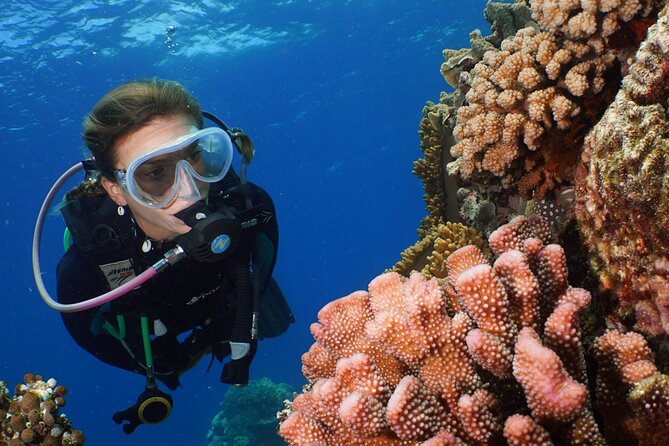 Silversonic Outer Great Barrier Reef Cruise from Port Douglas - Is $192.04 good value?