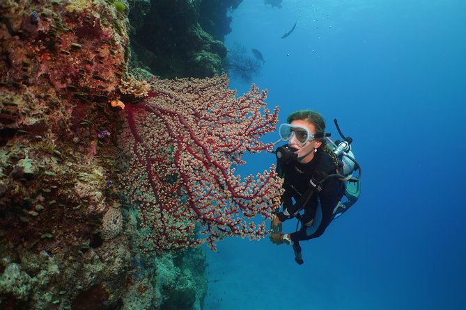 Silversonic Outer Great Barrier Reef Cruise from Port Douglas - What the crew does well