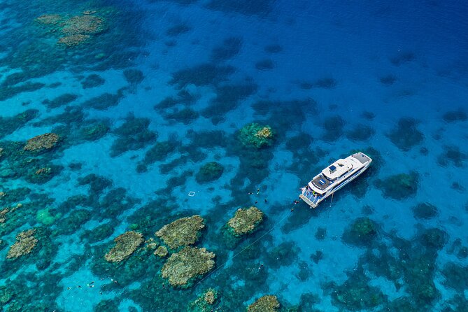 Silverswift Dive and Snorkel Great Barrier Reef Cruise - Quick points to know before booking