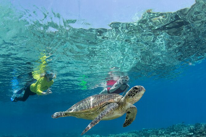 Silverswift Dive and Snorkel Great Barrier Reef Cruise - Leaving Cairns on a 29-meter catamaran