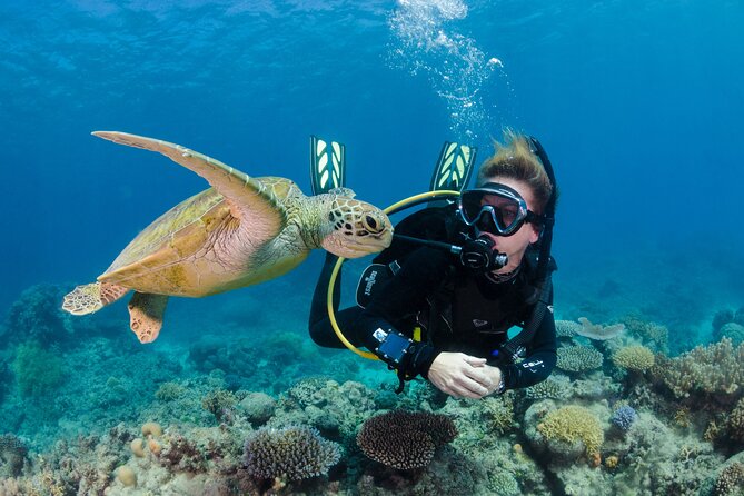 Silverswift Dive and Snorkel Great Barrier Reef Cruise - How crowded and organized is the day?