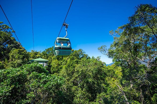 Skyrail Rainforest Cableway Day Trip from Cairns - Key points to know before booking