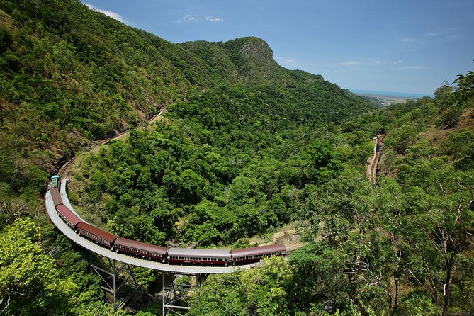 Skyrail Rainforest Cableway Day Trip from Cairns - Optional wildlife stops near the markets