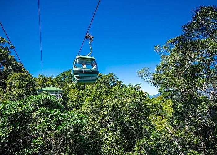 Skyrail Rainforest Cableway Day Trip from Cairns - Rainforestation Nature Park as an upgrade