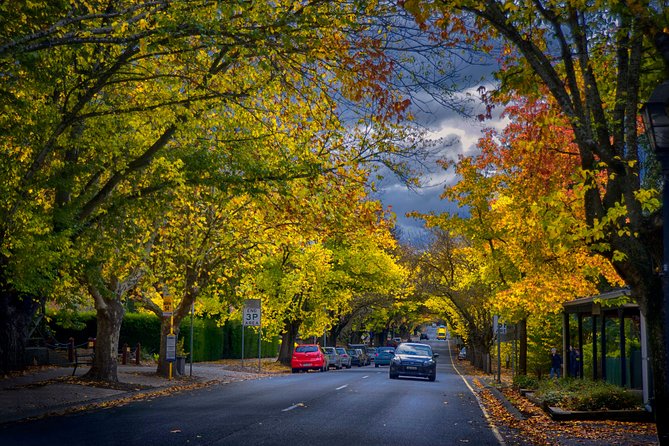 Small Group Adelaide Hills and Hahndorf Hideaway Tour from Adelaide - Howard Vineyard brings the wine into focus