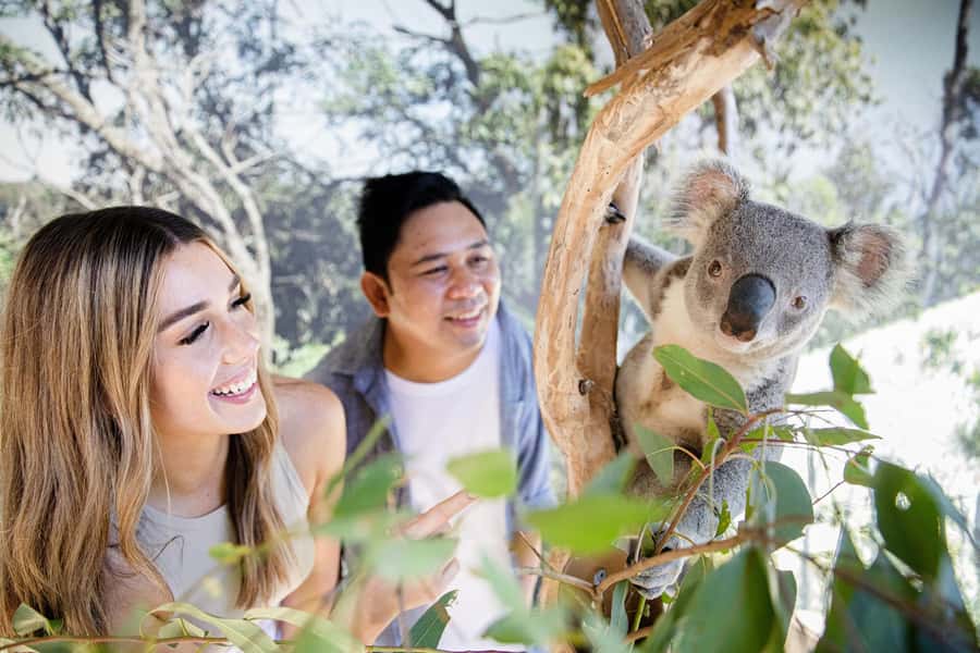 Small Group Blue Mountains, Wildlife & Scenic World Day Tour - Leura gives you lunch, not a full village day