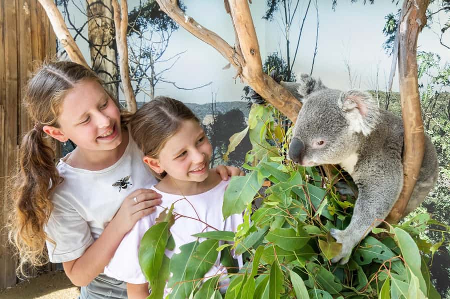Small Group Blue Mountains, Wildlife & Scenic World Day Tour - Starting early from Sydney