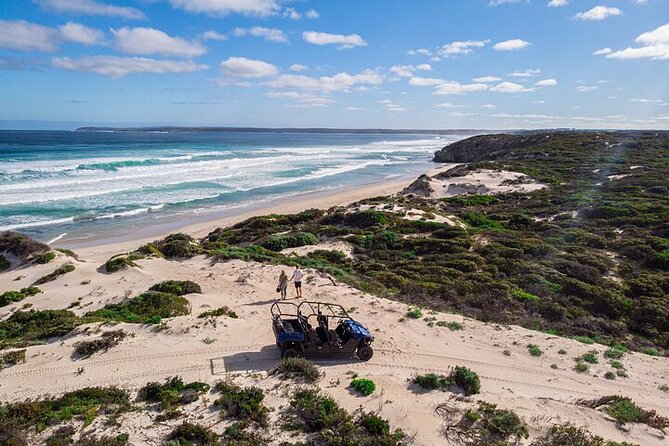 Small-Group Buggy Tour at Little Sahara with Guide - Five things to know before booking