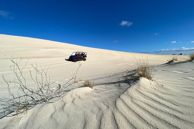 Small-Group Buggy Tour at Little Sahara with Guide - Crossing the Eleanor River and watching for wildlife