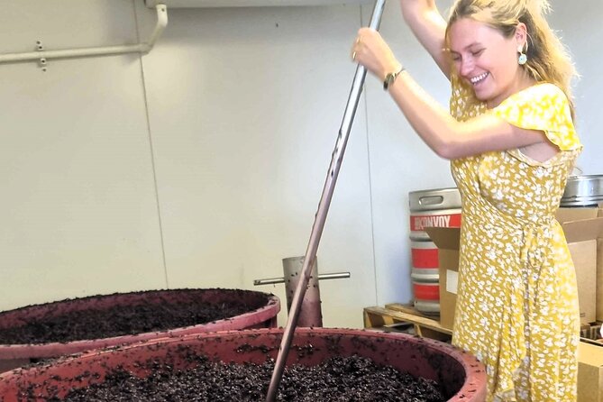 Small Group Hunter Valley Wine Tour + Lunch, Gin & Choc ex Sydney - The long road from Sydney to wine country