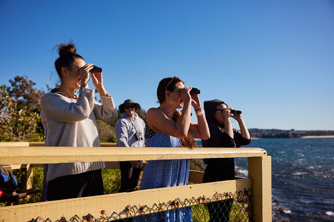 Small Group Manly Snorkel Tour and Nature Walk with Local Guide - How the itinerary fits together
