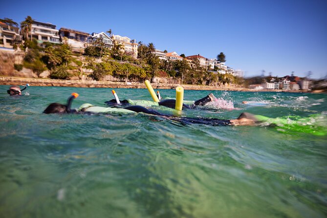 Small Group Manly Snorkel Tour and Nature Walk with Local Guide - What $78.18 buys you