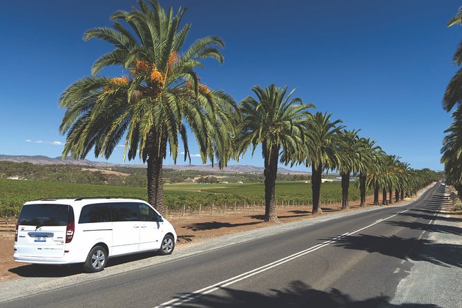 Small Tour Barossa Valley Voyager Tour from Adelaide - Langmeil Winery and the 1843 Freedom Shiraz Vine