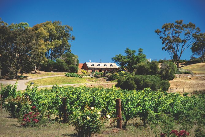 Small Tour Barossa Valley Voyager Tour from Adelaide - Seabrook Wines in a Settlers’ Cottage