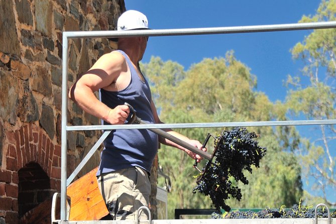 Small Tour Barossa Valley Voyager Tour from Adelaide - Wine Variety Beyond Barossa Shiraz
