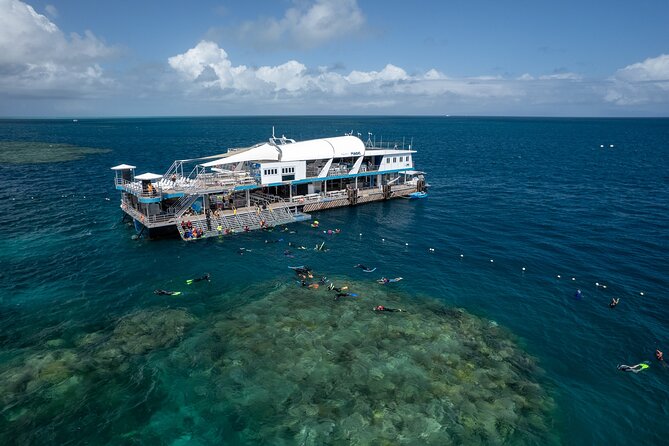 Snorkel & Dive the Reef: Sustainable, Scientific & Cultural Tour - Quick facts that matter