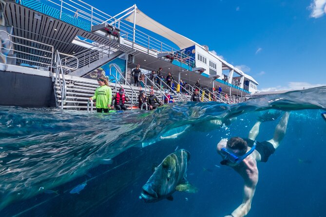 Snorkel & Dive the Reef: Sustainable, Scientific & Cultural Tour - Leaving Cairns on the fast catamaran