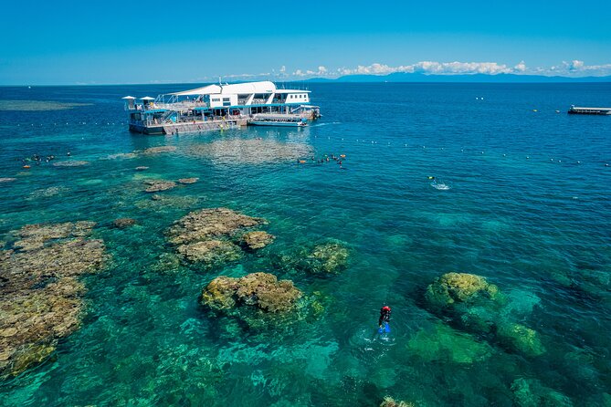 Snorkel & Dive the Reef: Sustainable, Scientific & Cultural Tour - Snorkeling in the sheltered coral lagoon