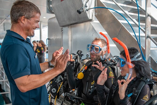 Snorkel & Dive the Reef: Sustainable, Scientific & Cultural Tour - Dry viewing that still feels close to the reef