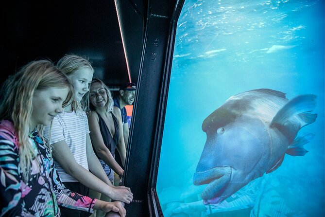 Snorkel & Dive the Reef: Sustainable, Scientific & Cultural Tour - What the $232.39 price really buys