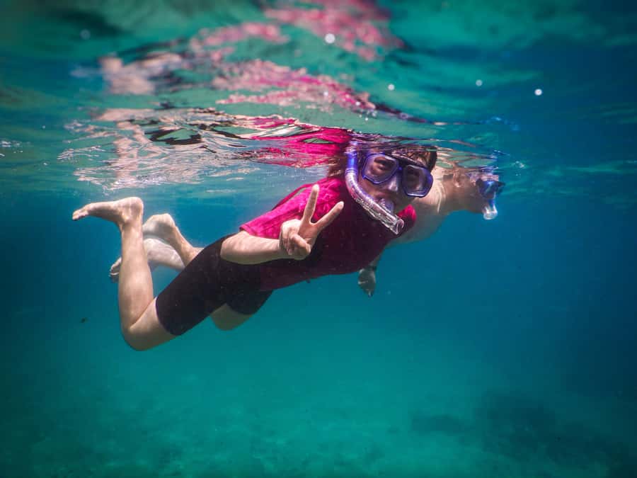 Snorkeling Tour: Discover Sydney’s impressive sea life - Making the rest of your Clovelly day count