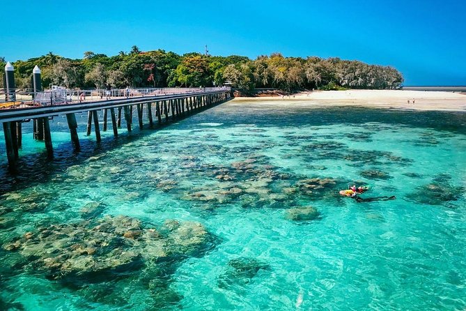 Snorkelling and Glass Bottom Boat at Green Island from Cairns - Key points to know before you book