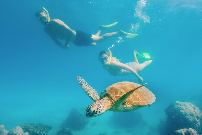 Snorkelling and Glass Bottom Boat at Green Island from Cairns - The island facilities make a longer stay possible