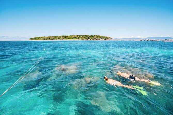 Snorkelling and Glass Bottom Boat at Green Island from Cairns - What the $107.59 price includes