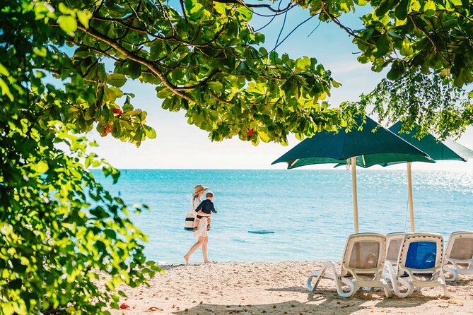 Snorkelling and Glass Bottom Boat at Green Island from Cairns - Who should choose this Green Island trip?