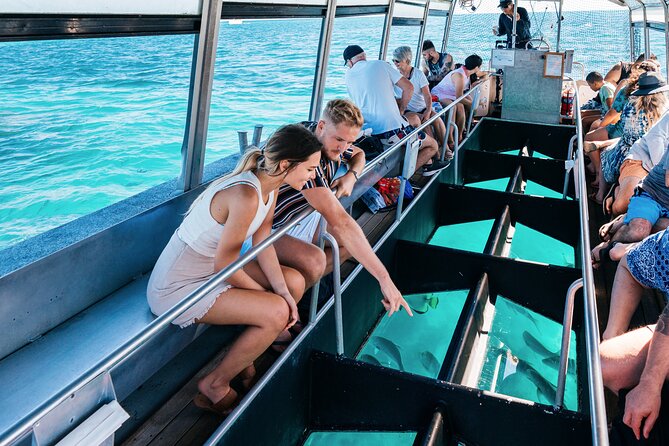 Snorkelling and Glass Bottom Boat at Green Island from Cairns - Green Island combines reef and rainforest