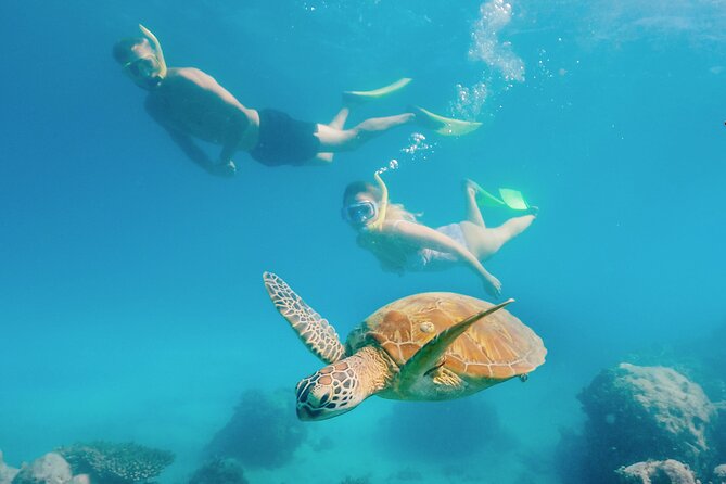 Snorkelling or Glass Bottom Boat at Green Island from Cairns - Key points to know before you book