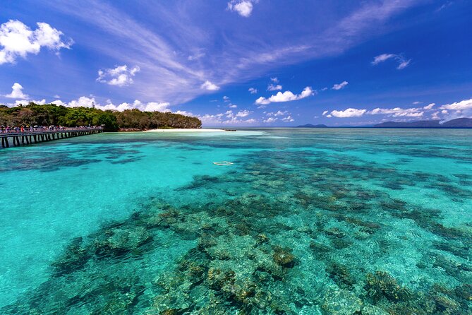 Snorkelling or Glass Bottom Boat at Green Island from Cairns - Is $87.50 good value?